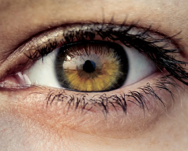 تأثير الفيتامينات على صحة العين